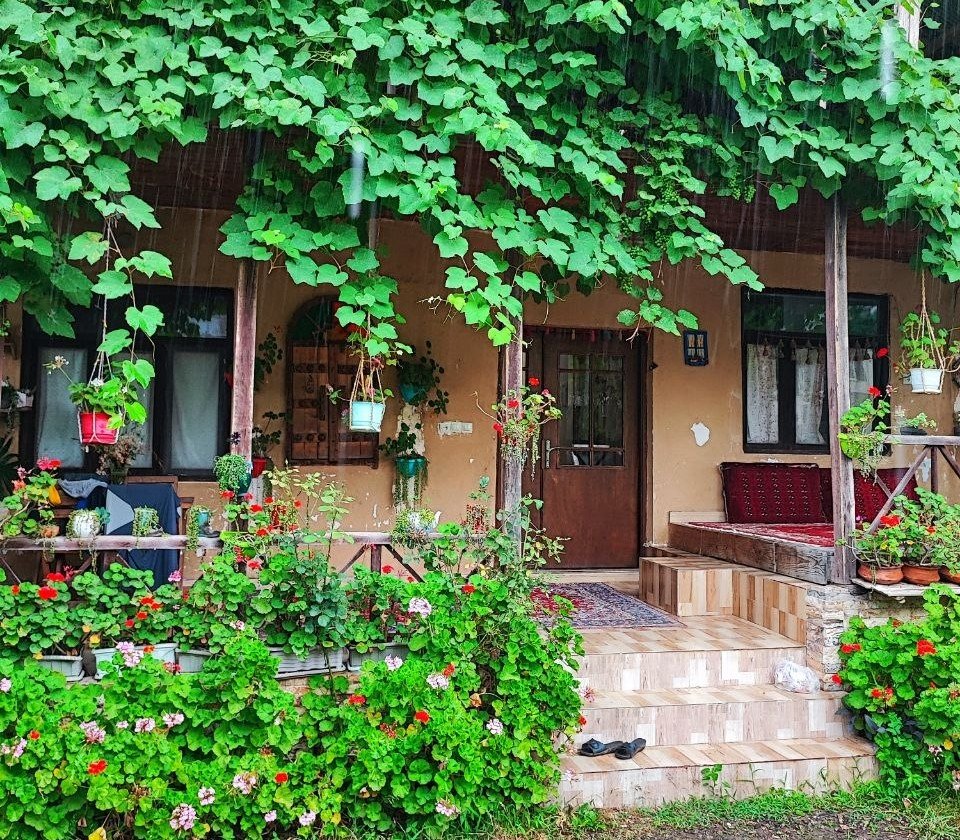 بومگردی دیلمای - واحد گیل سو