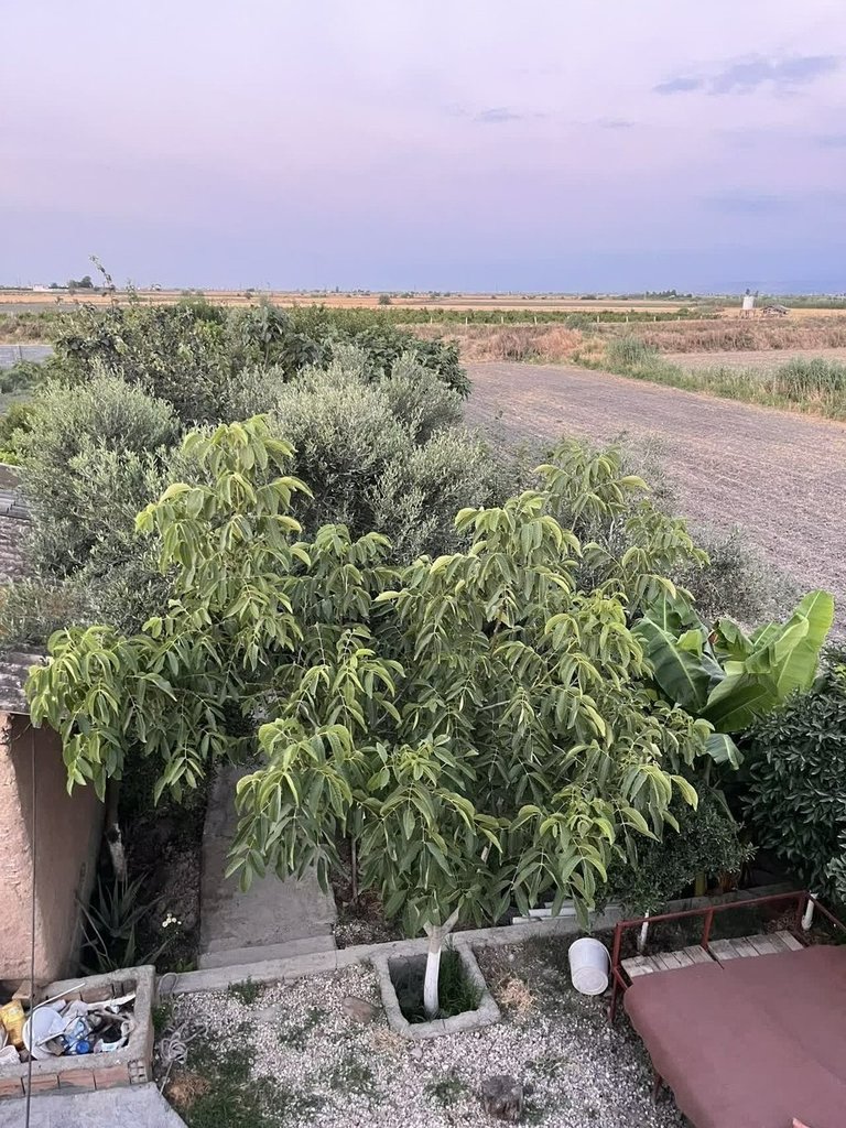 سوئیت یک خوابه محبت 2