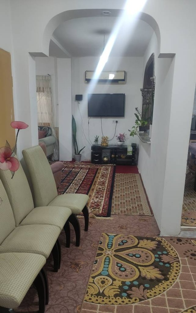 سوئیت یک خوابه دانش فر
