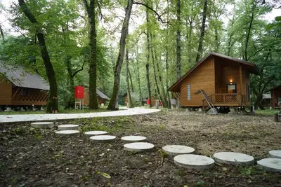 بومگردی هتل جنگلی میزبان - واحد دوبلکس چهار نفره