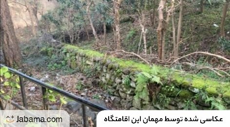 سوئیت یک خوابه کوه سبز 1