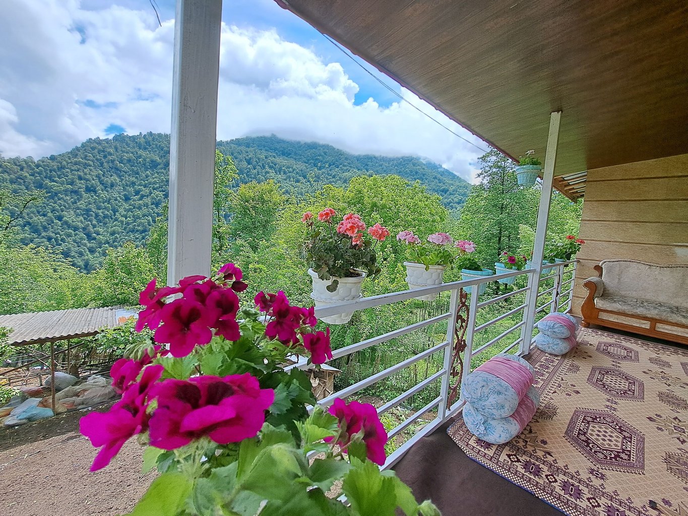 یک خوابه جنگلی مهسا