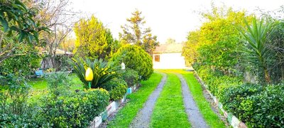 ویلا یک خوابه حاج بابا