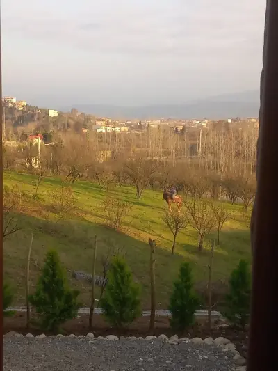 کلبه دوخوابه جکوزی دار دیاکو 1