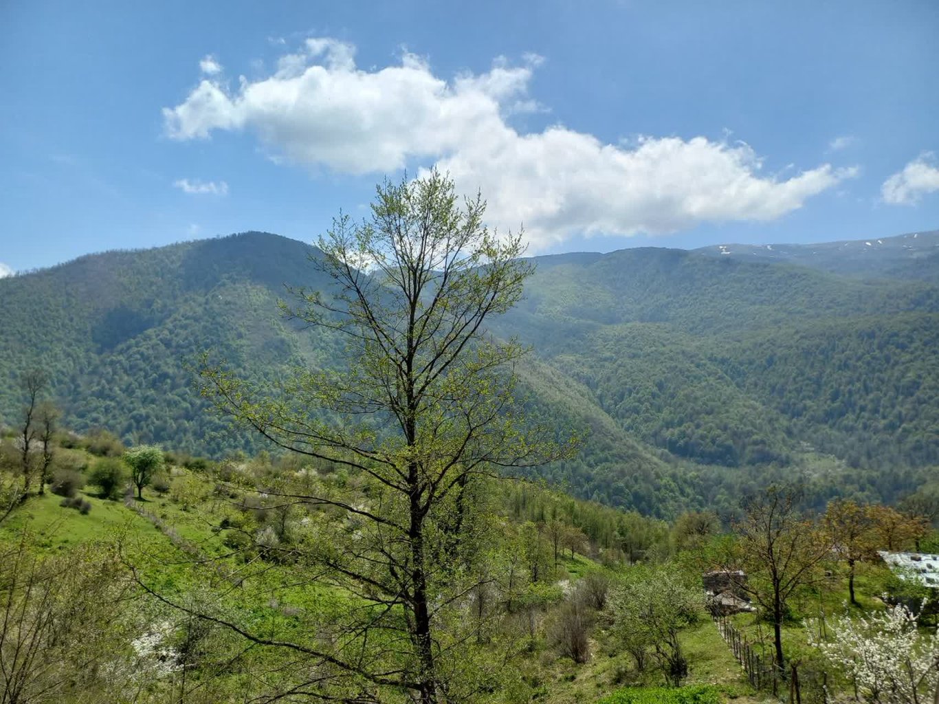 کلبه یک خوابه رستمی