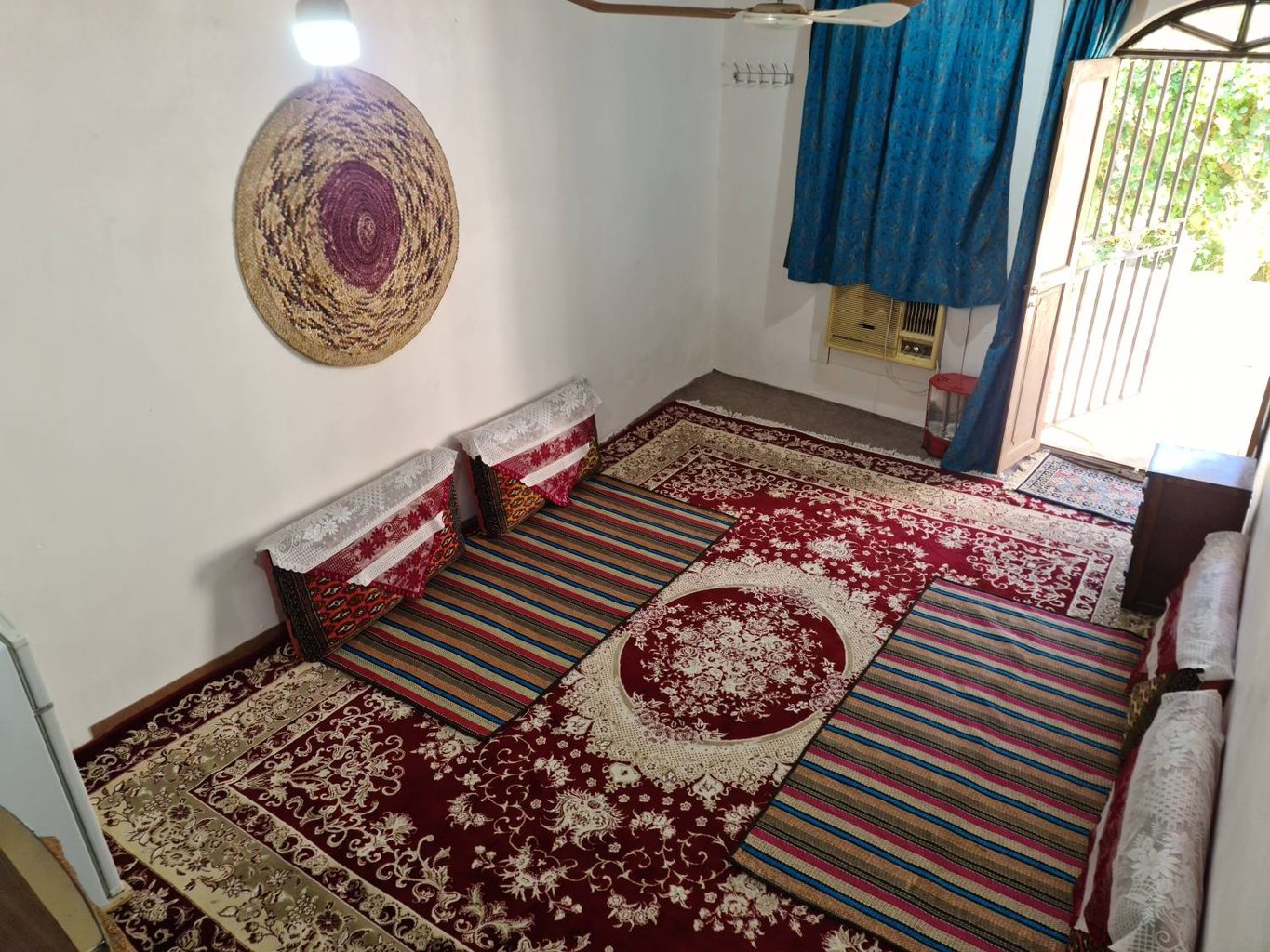 بومگردی ستاره دریایی بوشهر - واحد ۲