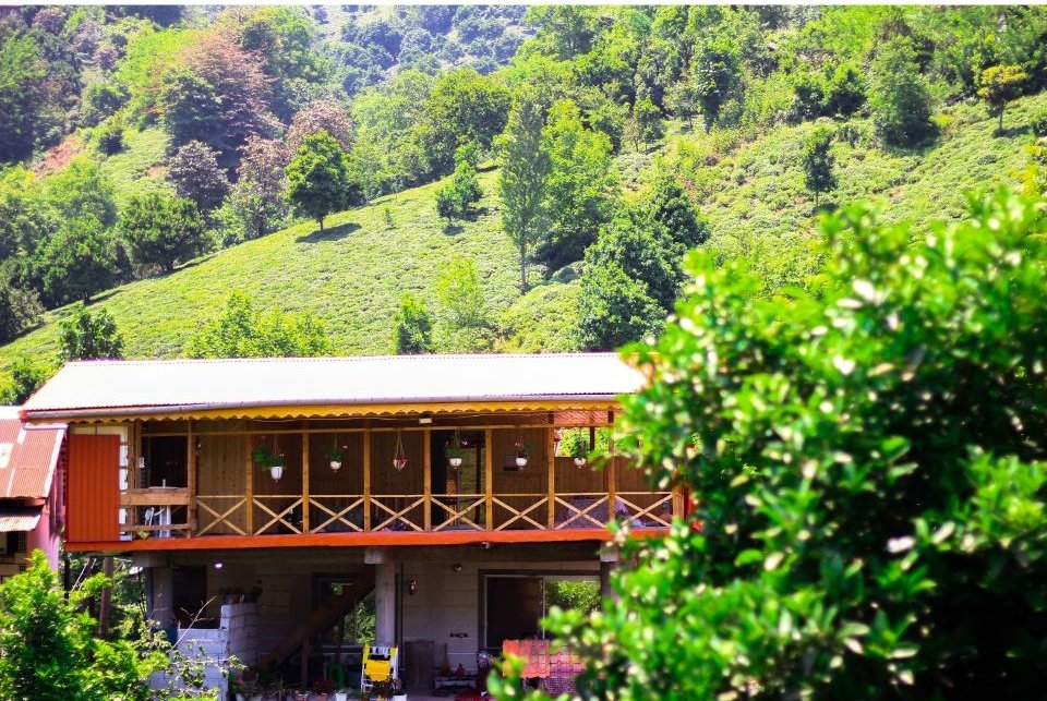 آپارتمان دوخوابه جنگلی گوشکور