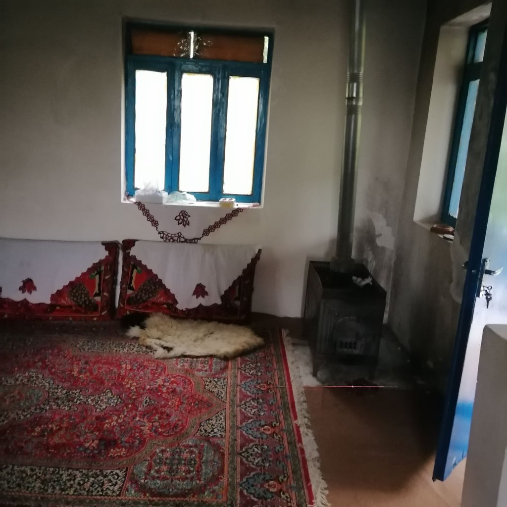 ویلا فلت دلیری