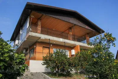 سوئیت یک خوابه طبیعت اتر