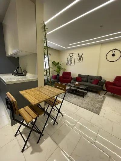 آپارتمان دوخوابه ویودار