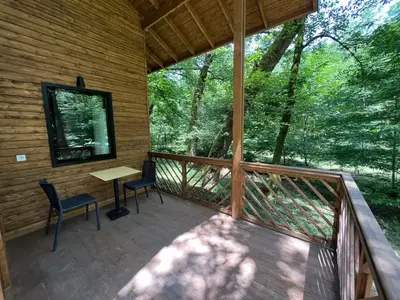 بومگردی هتل  جنگلی میزبان - واحد دونفره