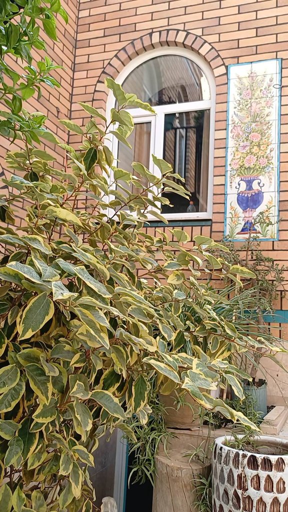 اقامتگاه سنتی مهمان پذیر سید محمد - واحد ۳