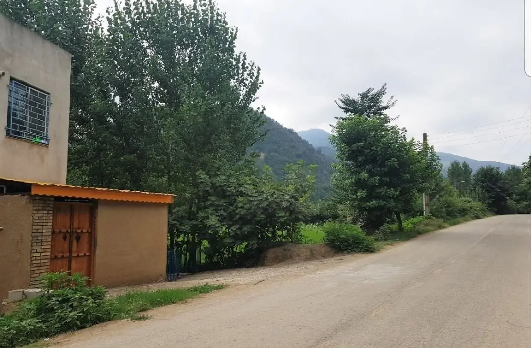 سوئیت یک خوابه جنگلی خورشید - دسترسی ورودی اقامتگا