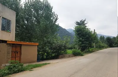 سوئیت یک خوابه جنگلی خورشید