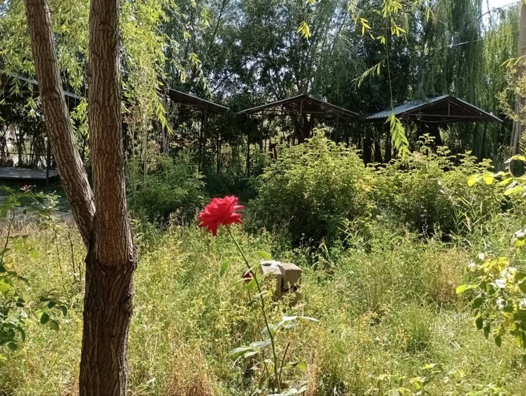 کلبه فلت شیرخان