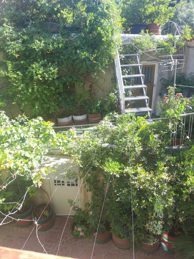 ویلا یک خوابه درکه