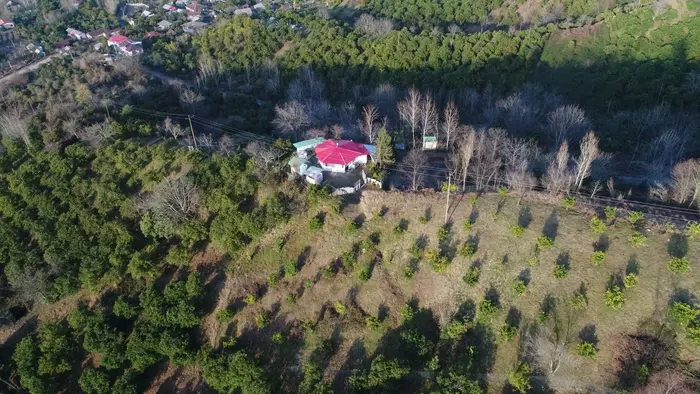 کلبه دوخوابه چوبی بام گیلدا - نما از بالا