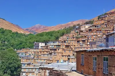 بومگردی واران - واحد شلانه