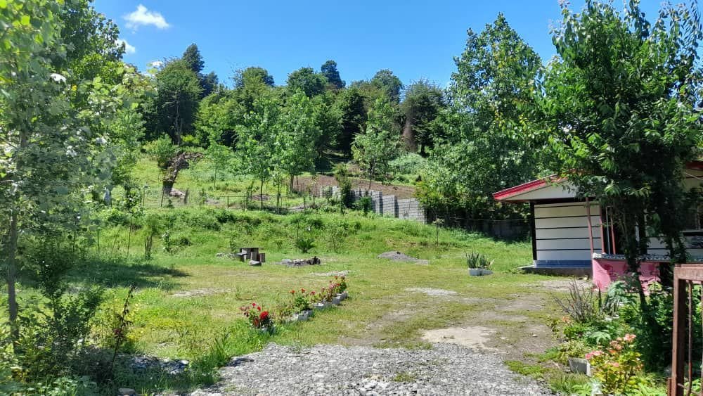 ویلا یک خوابه جنگلی چاله سرا 11