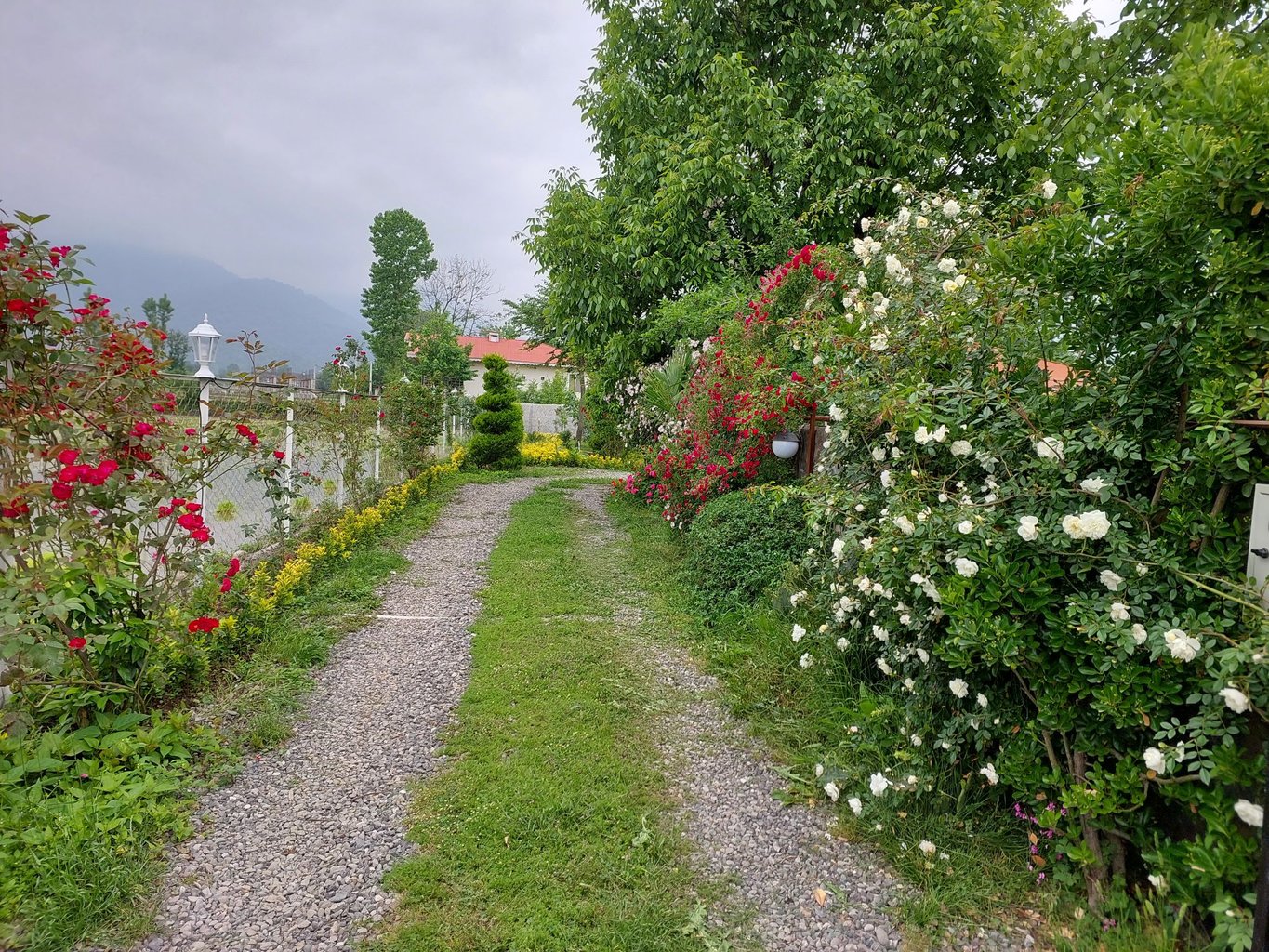 دوخوابه باغ جنگلی آرامش