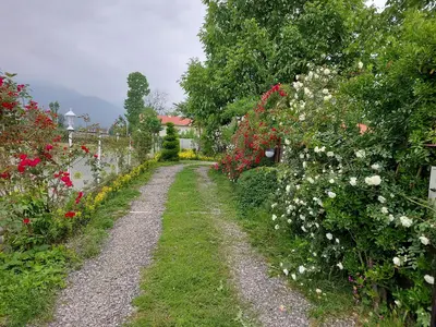 ویلا دوخوابه باغ جنگلی آرامش