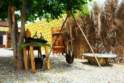 بومگردی کل واحد -آسمان آبی