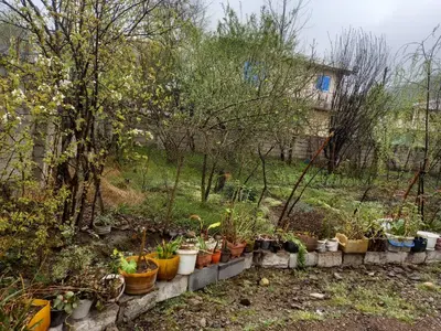 ویلا یک خوابه گل بهار شهر بیجاری