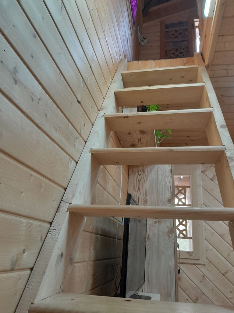 کلبه کندوج تک خواب