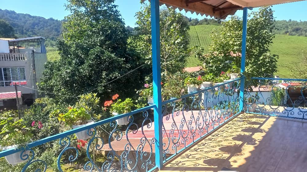 سوئیت یک خوابه باغ چای