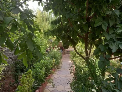 ویلا یک خوابه ده ترکمن