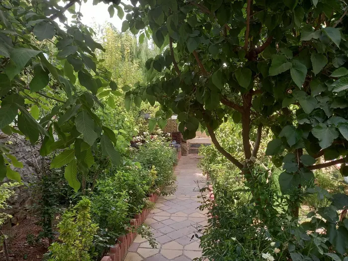 ویلا یک خوابه ده ترکمن - حیاط