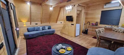 کلبه یک خوابه جنگلی سوئیسی جکوزی دار وینا