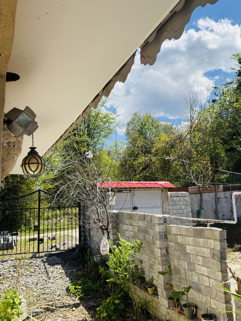 ویلا یک خوابه جنگلی بندبون 1