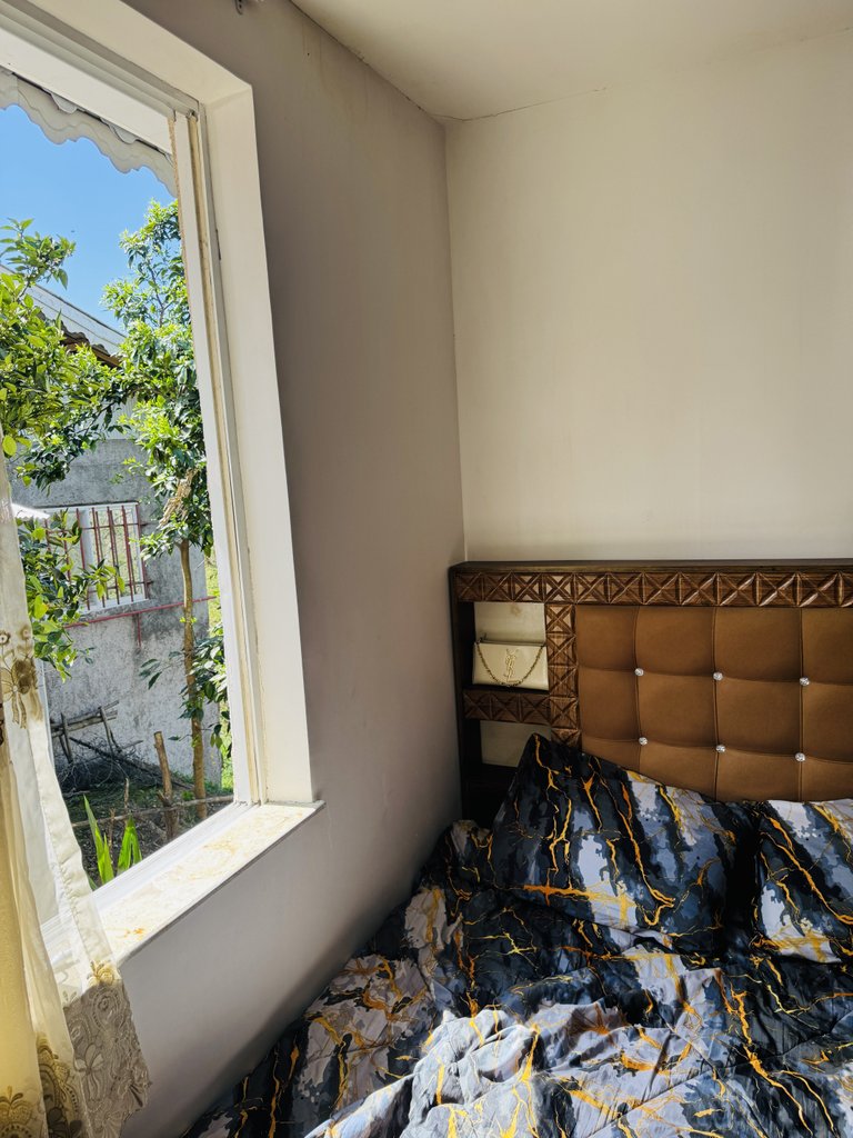 ویلا یک خوابه جنگلی بندبون 1