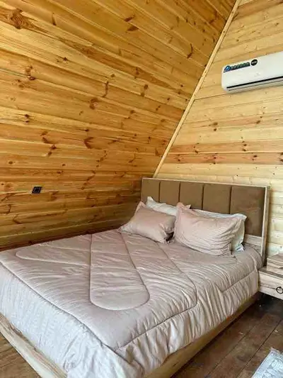 کلبه دوخوابه سوئیسی زوریخ 11