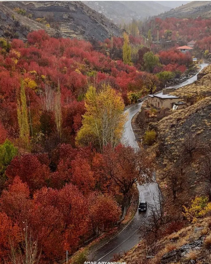 ویلا یک خوابه ارغوان دیزباد - دیزباد