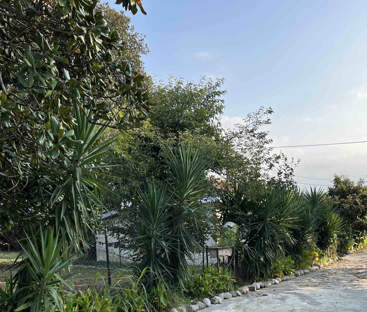 ویلا دوخوابه ساحلی فلامینگو