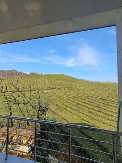 ویلا دوخوابه دوبلکس نخستین