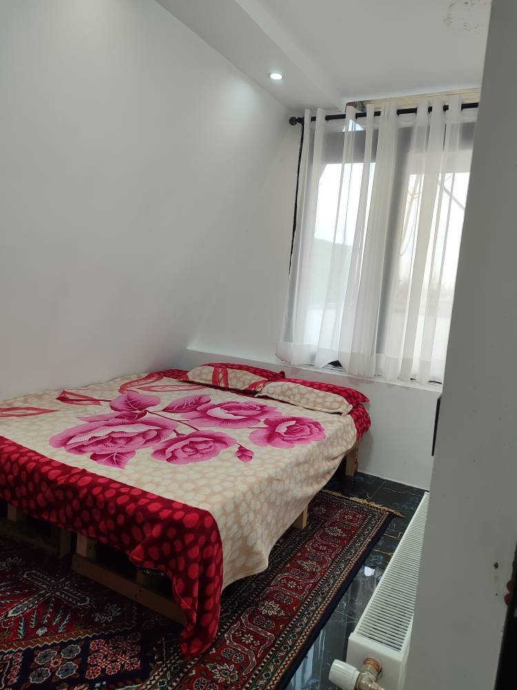 کلبه دوخوابه سوئیسی چوبی گندم