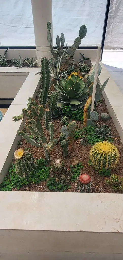 پنج خوابه تریبلکس استخردار آوان