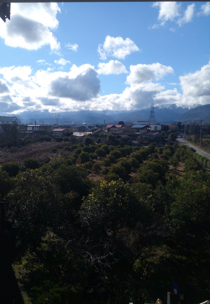 ویلا یک خوابه شیرود شبنم 1