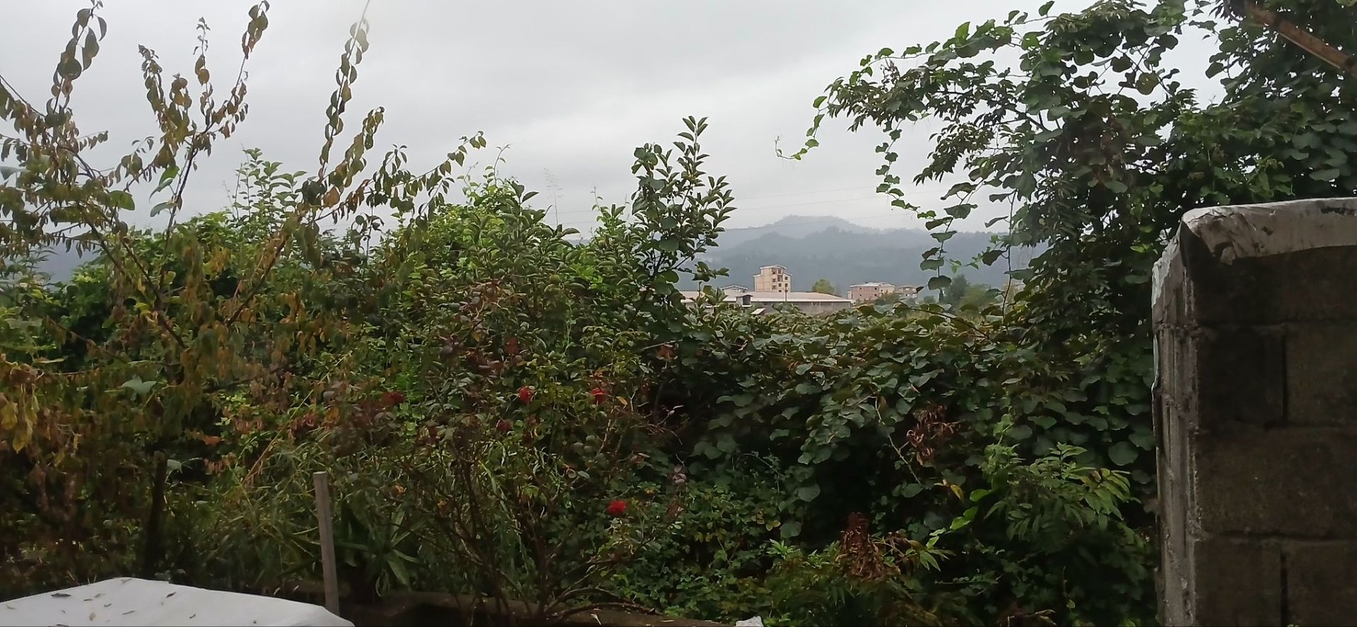 ویلا یک خوابه زها