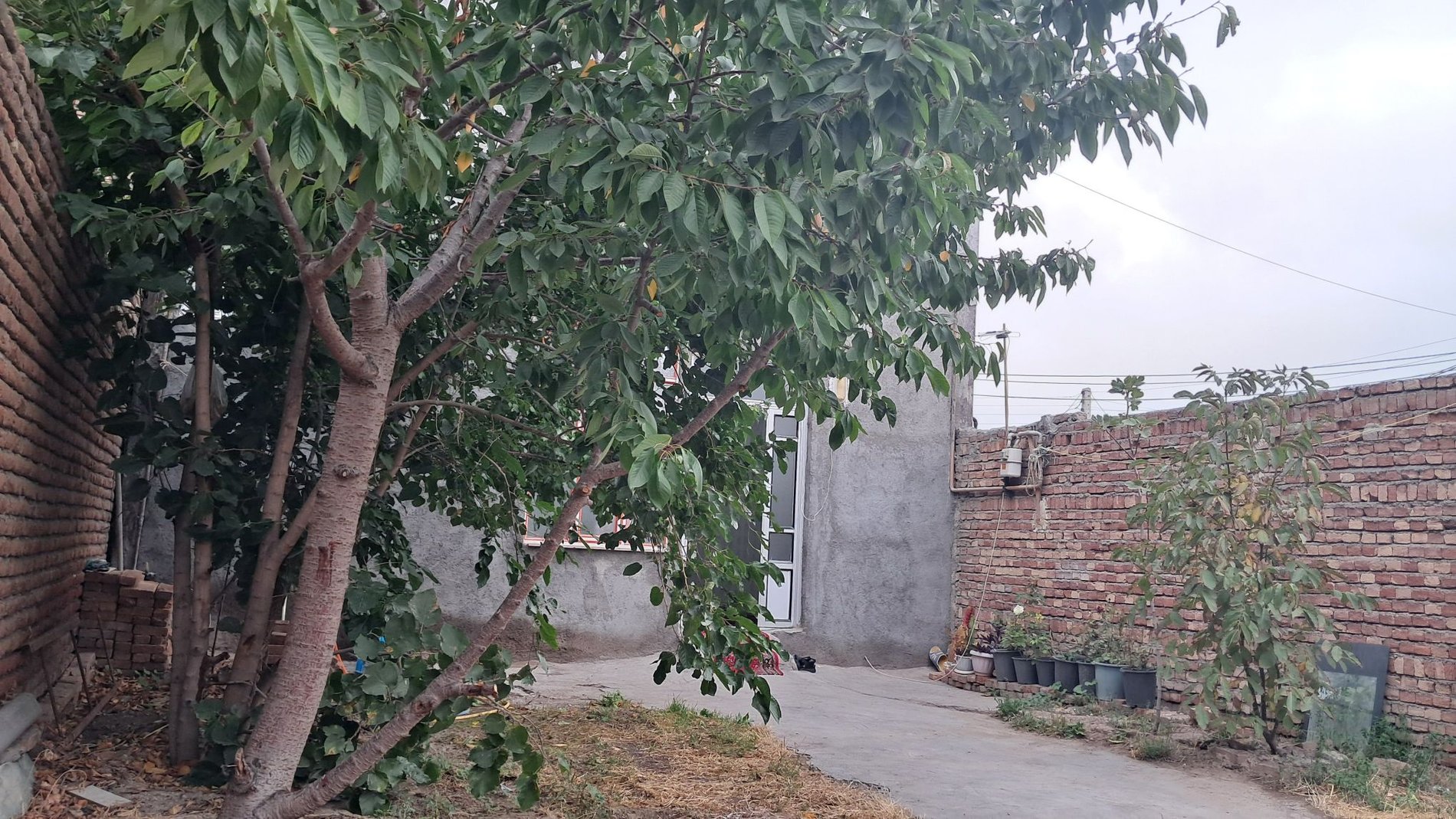 ویلا یک خوابه بعثت عیسی