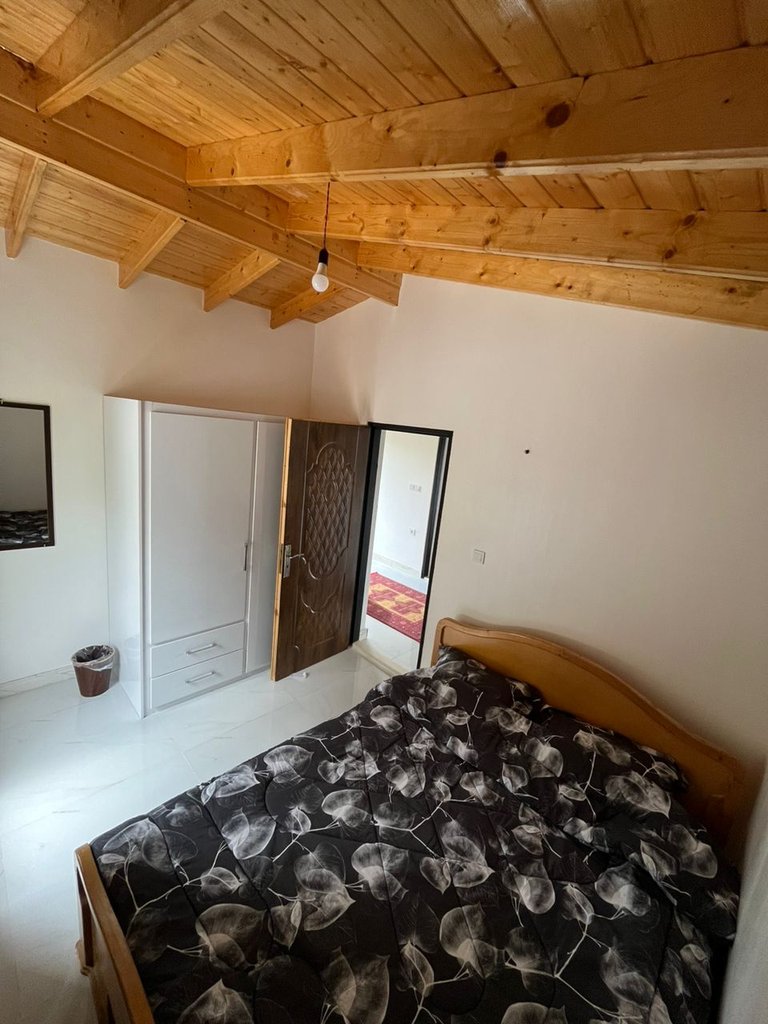 سه خوابه جنگلی سرو