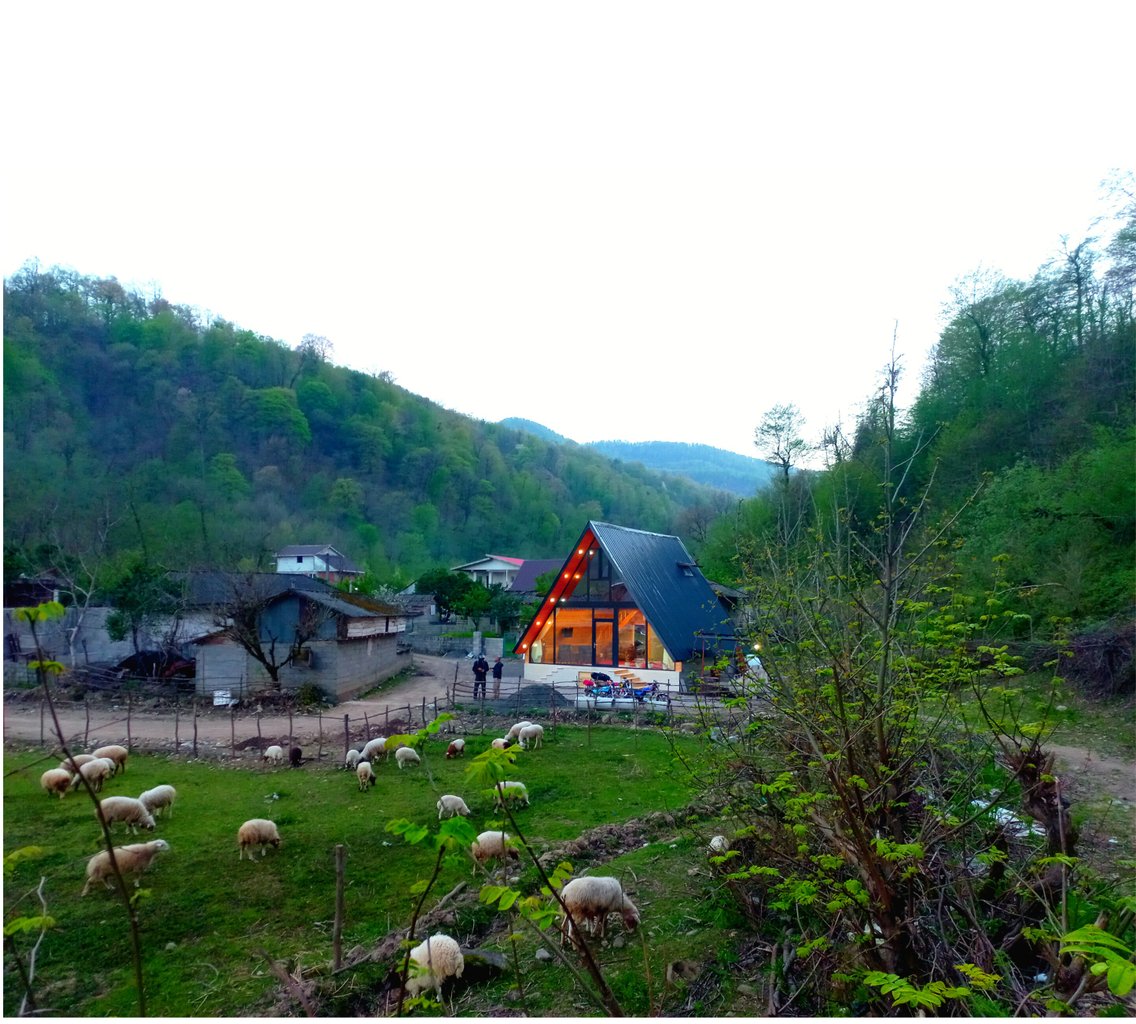 کلبه فلت دوبلکس جنگلی لیام