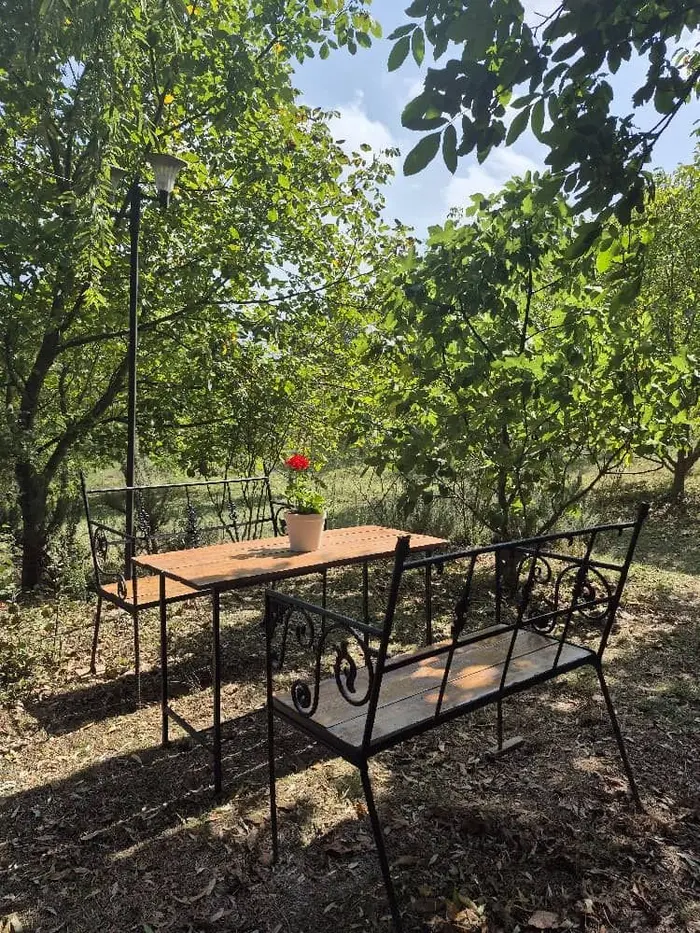 ویلا یک خوابه باغ گردو