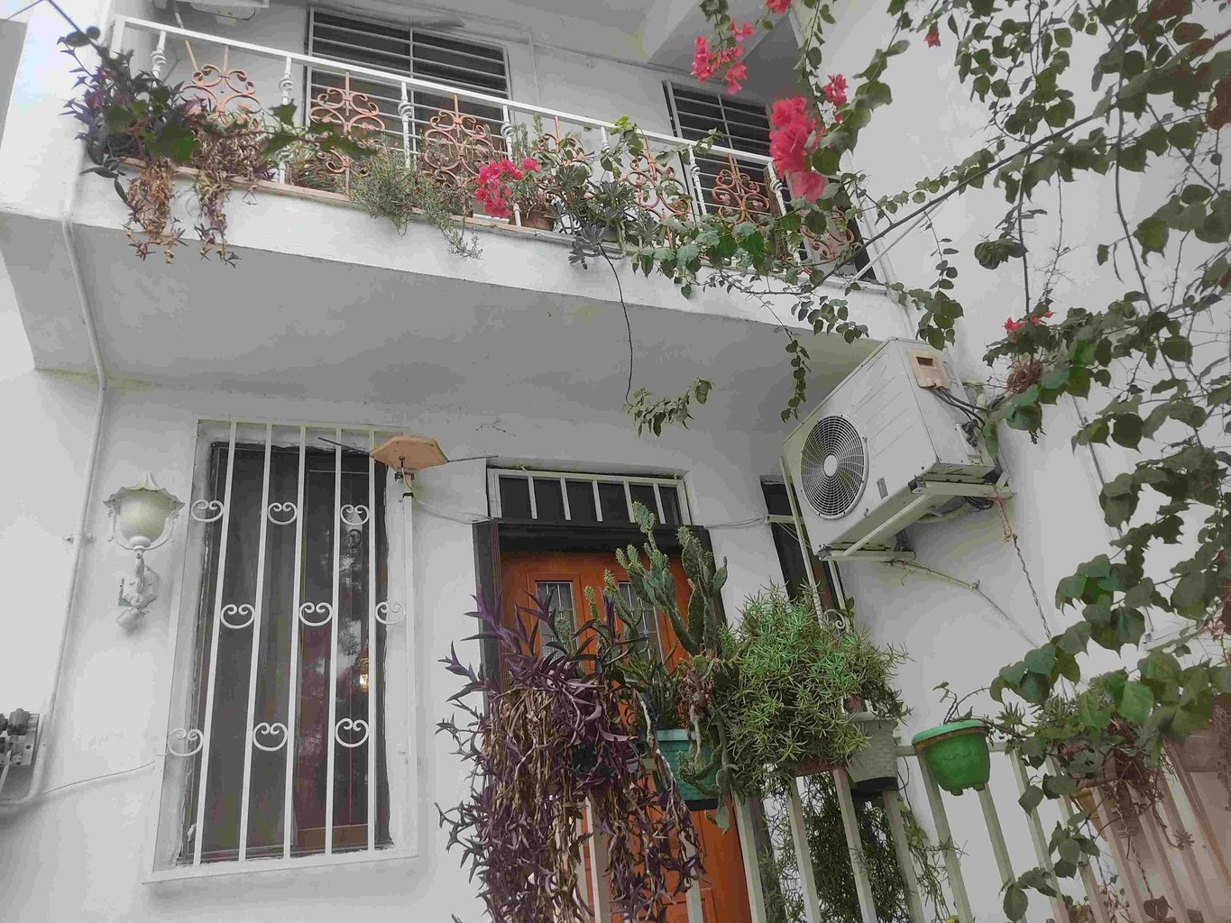 آپارتمان دوخوابه بندری - نمای ساختمان