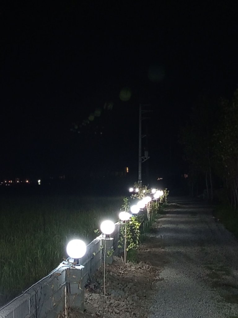 دشت شرلم - واحد 6