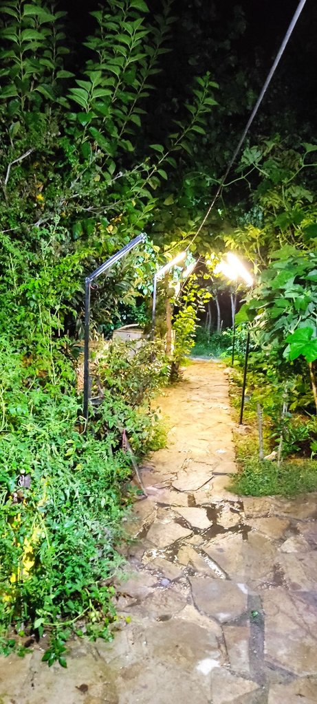 سوئیت یک خوابه ریکا جان