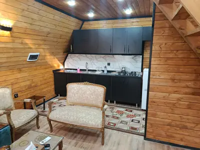 کلبه یک خوابه سوئیسی باغ سبز